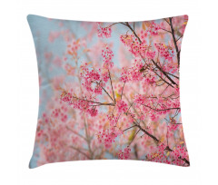 Japanese Sakura Cherry Pillow Cover