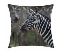 Zebra in Serengati Park Pillow Cover
