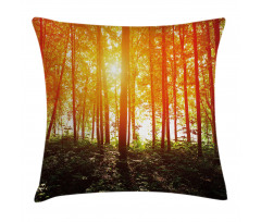 Foggy Forest Scenery Pillow Cover