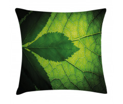 Brazilian Tree Leaf Eco Pillow Cover