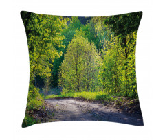 Path in Forest by Lake Pillow Cover