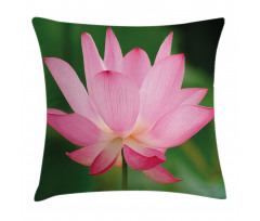 Lotus Lily Blossom Pillow Cover