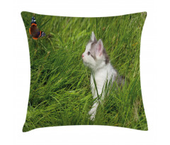 Cat and Butterfly Pillow Cover