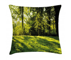 Rising Sun Beams Forest Pillow Cover