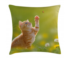 Ladybug Cats Dandelions Pillow Cover