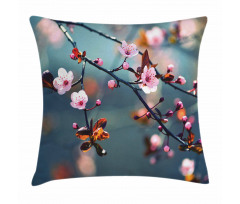 Blooming Sakura Flowers Pillow Cover