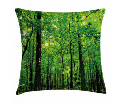 Woodland Tree Forest Sun Pillow Cover