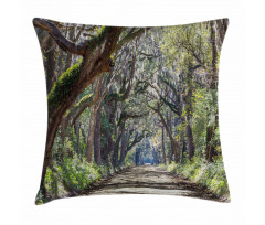 Road in Forest Carolina Pillow Cover