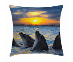 Bottle Nosed Dolphins Pillow Cover