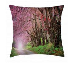 Park in Chiang Mai Pillow Cover
