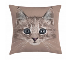 Domestic Cat Face Pillow Cover
