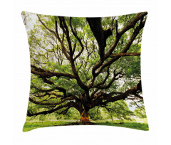 Majestic Tree Thailand Pillow Cover