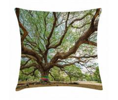 Big Rain Tree Thailand Pillow Cover