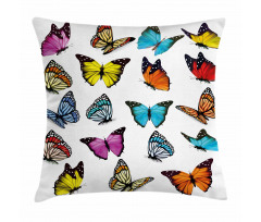 Butterflies Composition Pillow Cover