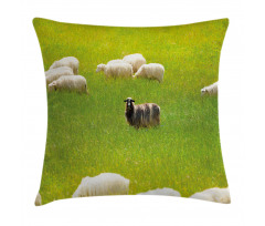 Black Sheep White Goats Pillow Cover