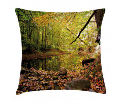 Pine River in Autumn Pillow Cover