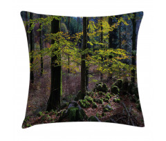 Trees Autumn Wilderness Pillow Cover
