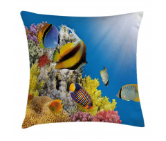 Coral Colony on Reef Top Pillow Cover