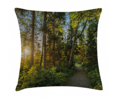 National Park Trees Path Pillow Cover