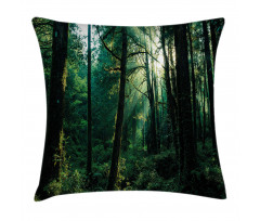 Sunset in Woods Trees Pillow Cover