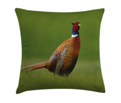Pheasant Long Tail Meadow Pillow Cover