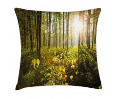 Sun Rays Woods Foliage Pillow Cover