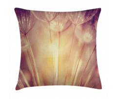 Dandelion Petals Spring Pillow Cover