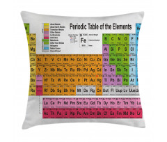 Chemistry Lovers Pillow Cover