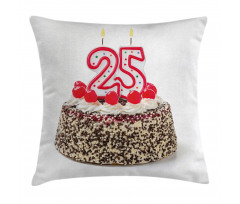 Chocolate Cherry Cake Pillow Cover