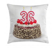 Birthday Sprinkles Pillow Cover