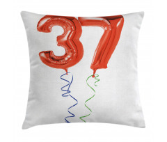 Older It Gets Party Pillow Cover