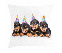 Birthday Dogs Hats Pillow Cover