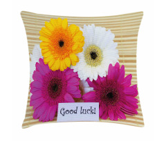 Luck Colorful Pillow Cover