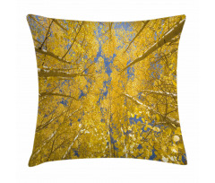 Aspen Trees Pillow Cover