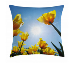 Field Summer Blooms Pillow Cover
