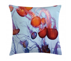 Jellyfish in the Ocean Pillow Cover