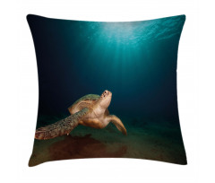 Green Turtle Sunbeam Pillow Cover