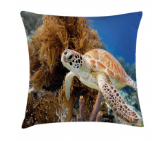 Tropic Waters Coral Reef Pillow Cover