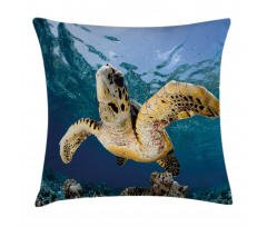 Hawksbill Sea Turtle Pillow Cover