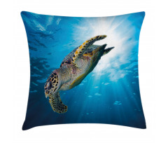 Sea Turtle Diving Pillow Cover