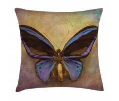 Monarch Butterfly Pillow Cover