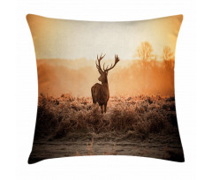 Deer Morning Sun Pillow Cover