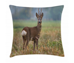 Deer Wildlife Pillow Cover