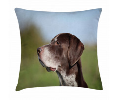 German Pointer Pillow Cover