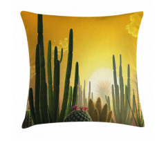 Sunset Desert Ecology Pillow Cover