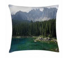 Aerial View Pines Lake Pillow Cover