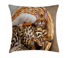 Bengal Cats in Basket Pillow Cover