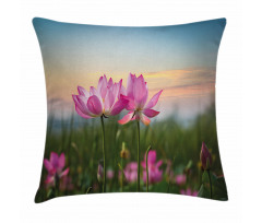 Blooms Garden Pillow Cover