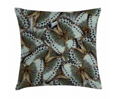 Butterflies Jungle Queen Pillow Cover