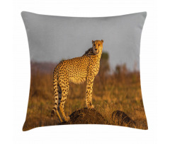 Wild Cheetah Pillow Cover